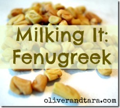 Milking It: Fenugreek | oliverandtara.com